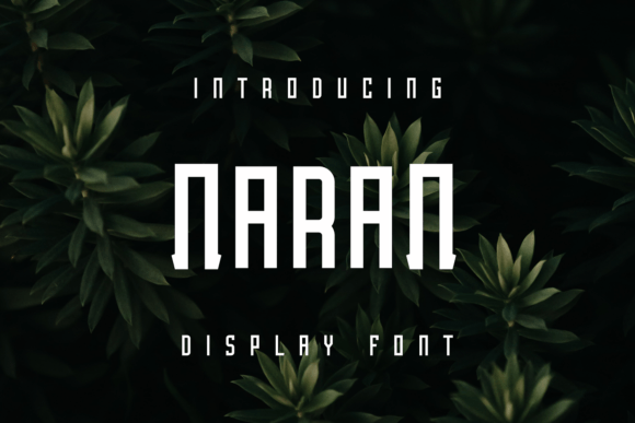 Naran: A Unique Display Font for Creative Projects